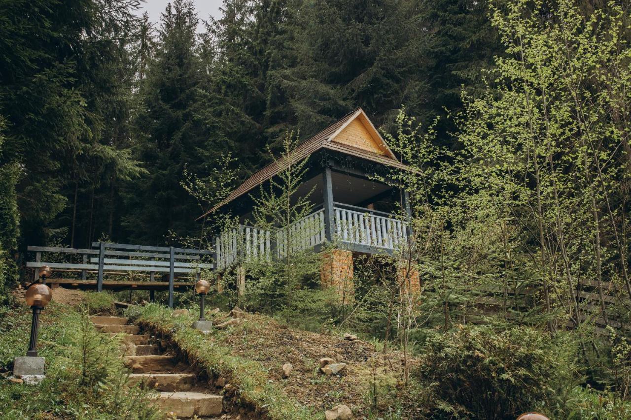 Шале "Ведмежий Двір" Poljanyzja Exterior foto